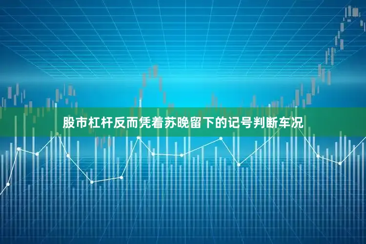 股市杠杆反而凭着苏晚留下的记号判断车况
