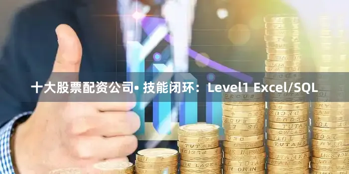 十大股票配资公司• 技能闭环：Level1 Excel/SQL